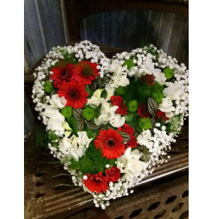 Hjärta röd - grön image