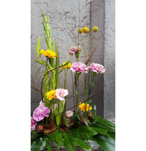 Paralleelinen asetelma kelta - vaaleanpunainen kuva