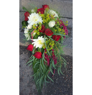 Puhujakorokeasetelma punavalkoinen kuva