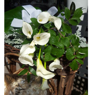 Vit callabukett image