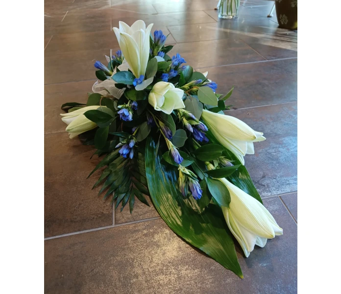 Lilja ja gentiana image