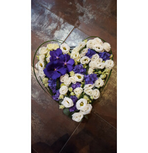 Hjärta violett - vit image