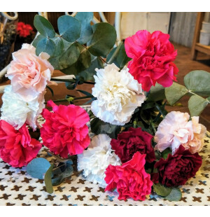 Mix nejlikabukett image