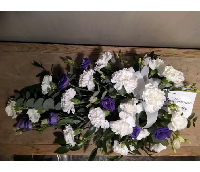 Vit nejlika, violett eustoma image