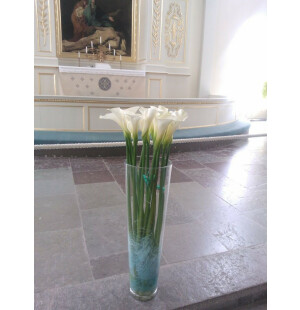 Valkoinen kalla kuva