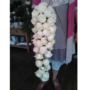  Valkoinen ruusu kuva