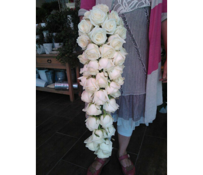  Valkoinen ruusu image
