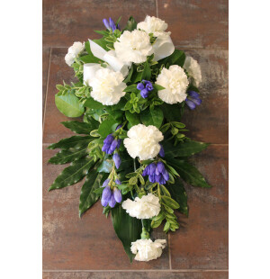 Valkoinen neilikka ja sininen gentiana kuva