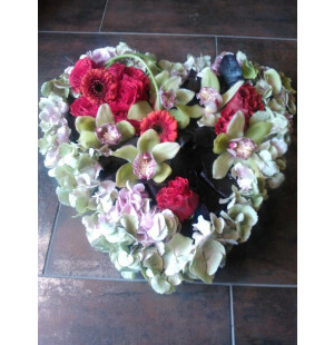 Hjärta orkide image