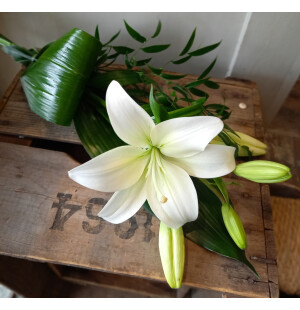 Lilja med grönt image