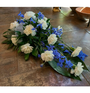 Neilikka ja ritarinkannus kuva