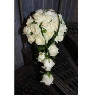 Valkoinen ruusu kuva