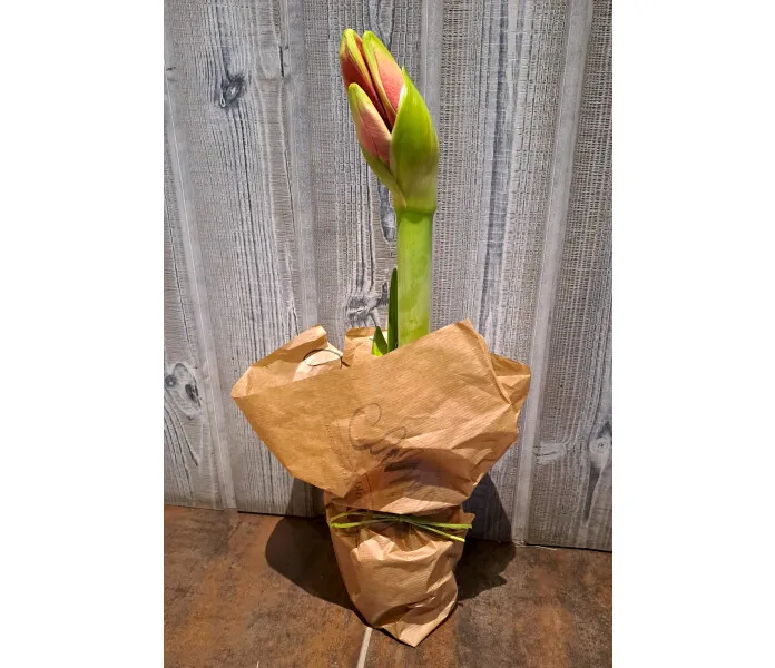 20221124 111925 image