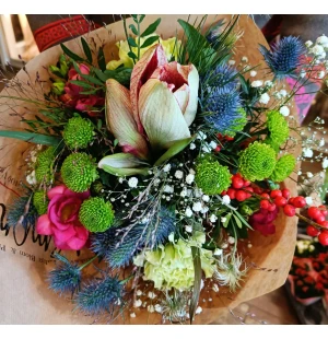 Metsän ensilumi kuva