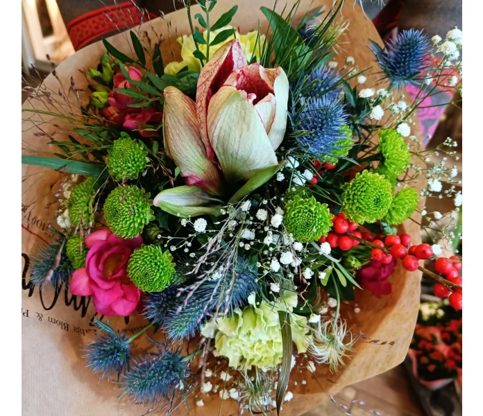 Metsän ensilumi kuva