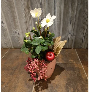 Koristeltu jouluruusu kuva