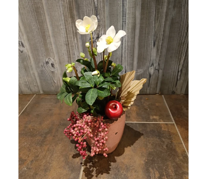 Koristeltu jouluruusu kuva