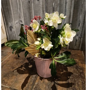 Koristeltu jouluruusu kuva