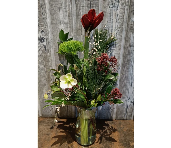 Jouluinen amarylliskimppu kuva