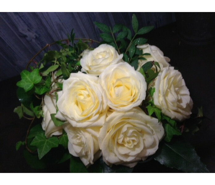 Rose kuva