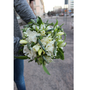 Carnation image