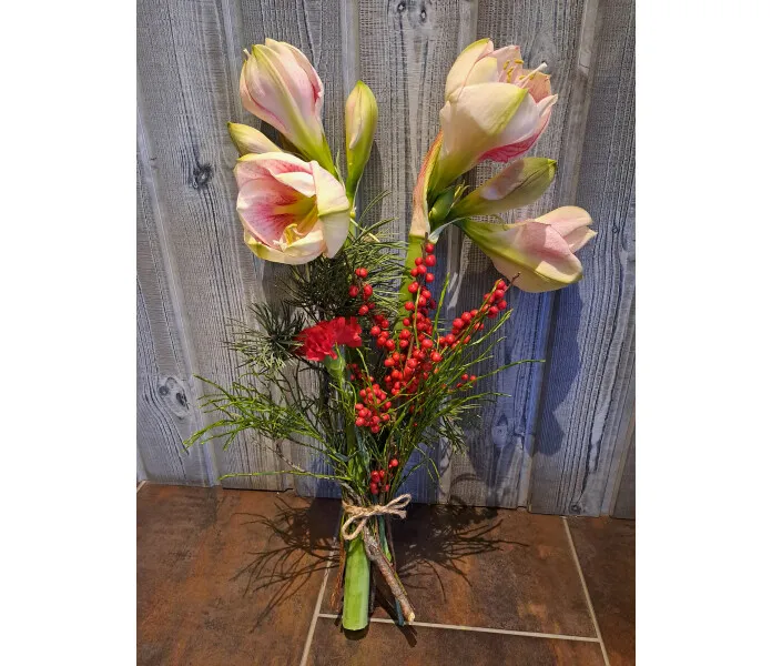 Amarylliskimppu korkea kuva