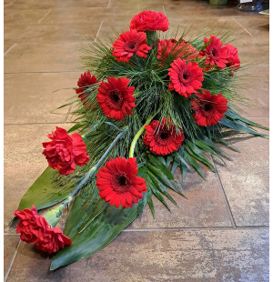 Punainen neilikka ja germini kuva