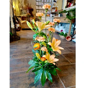 Oranssi asetelma kuva