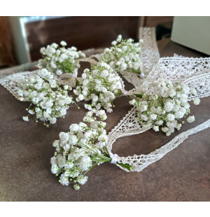 Ranneviehe harsosta kuva