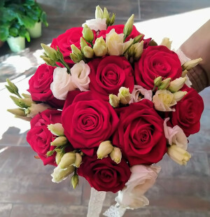 Amor image